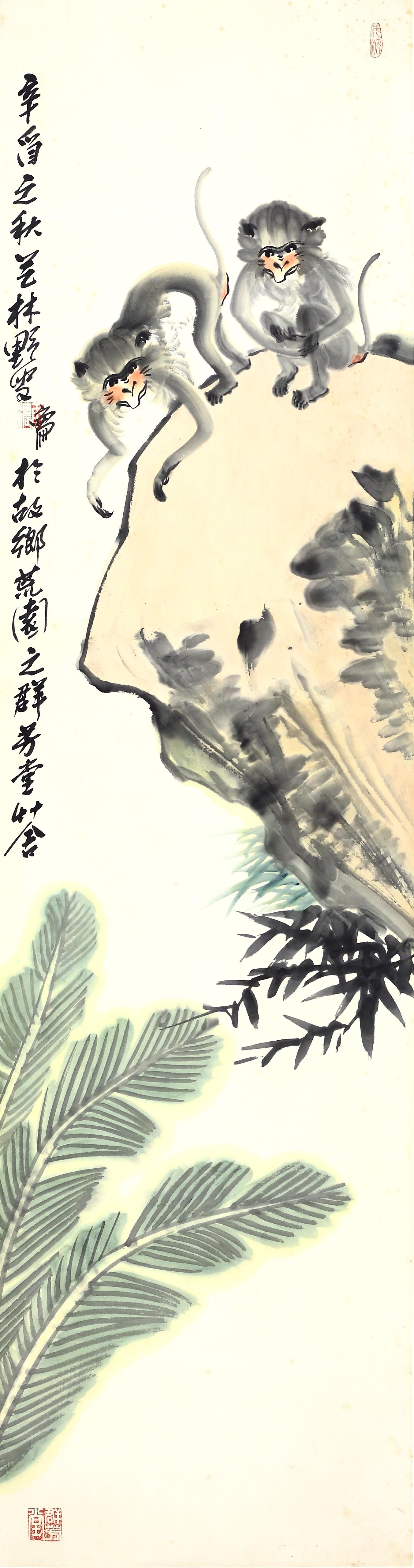 蒋雨浓 猴子