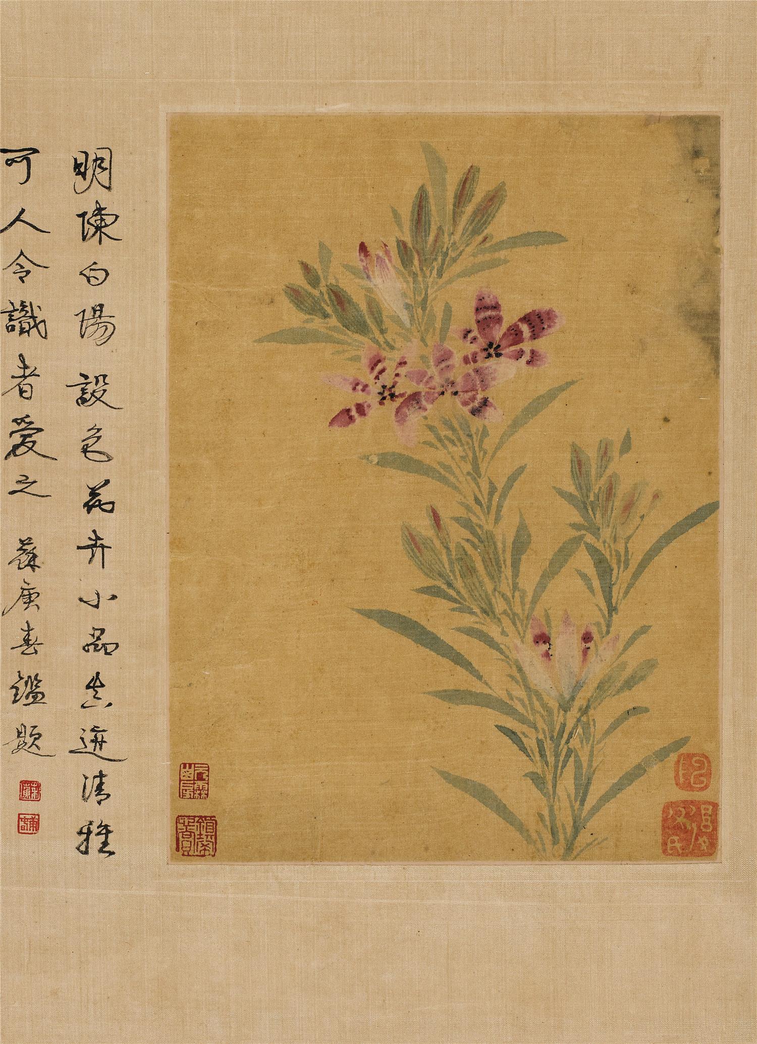 陈淳(1483-1544 花卉