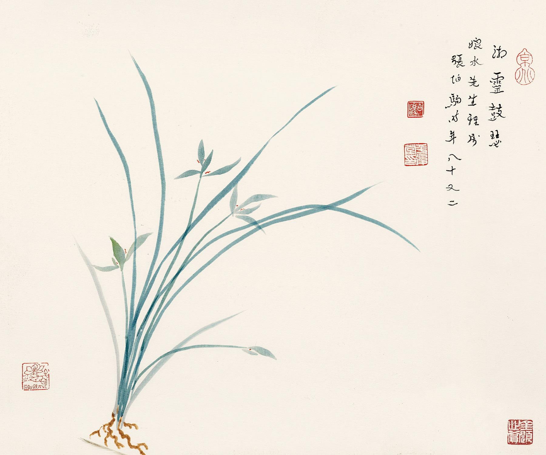 张伯驹(1898-1982) 兰花