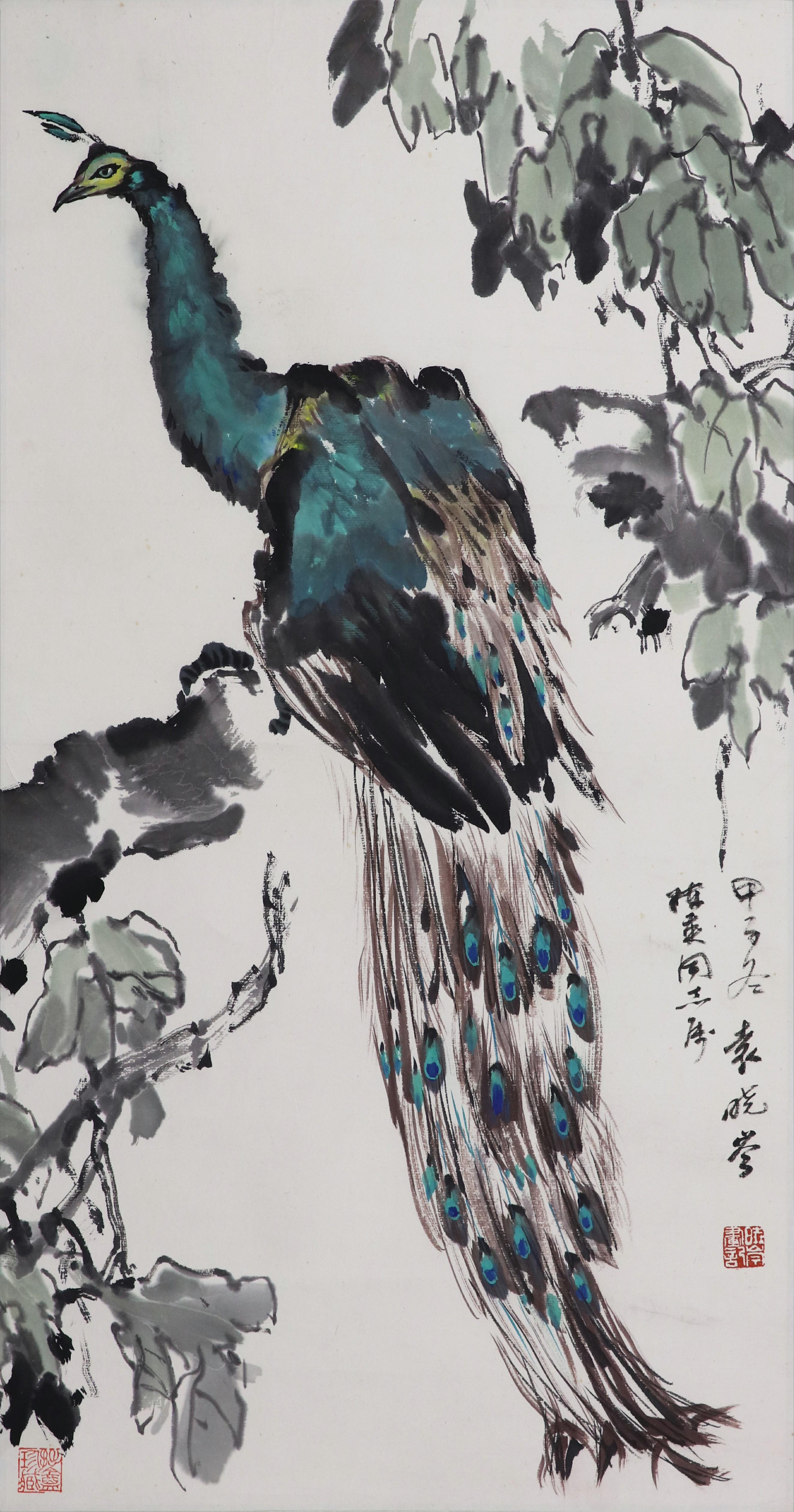 袁晓岑 孔雀