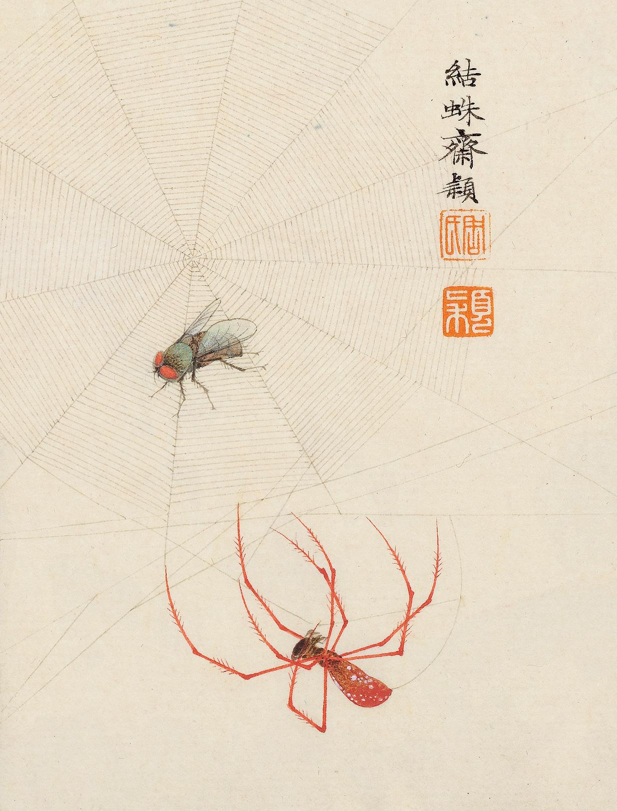 周颖 喜蛛应巧