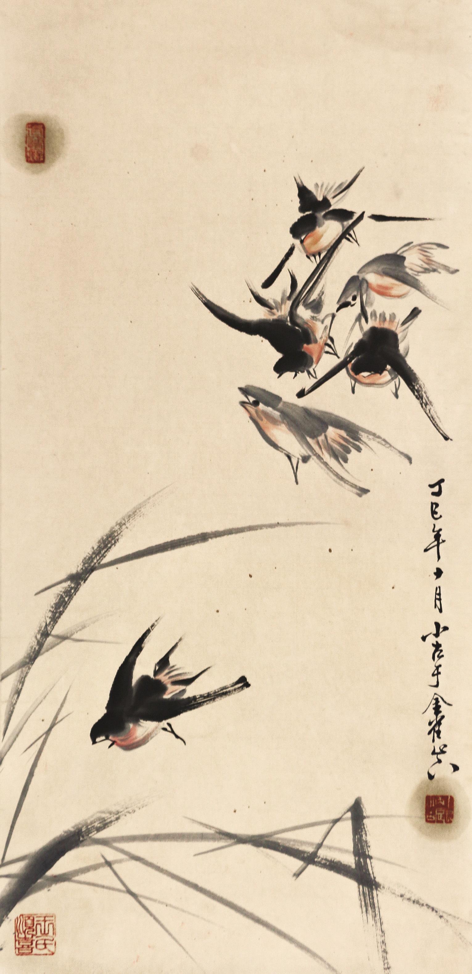 王小古燕子